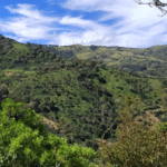 CARIBLANCO